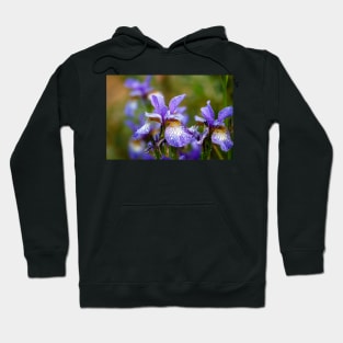 Blue Siberian irises Hoodie